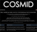 Cosmid